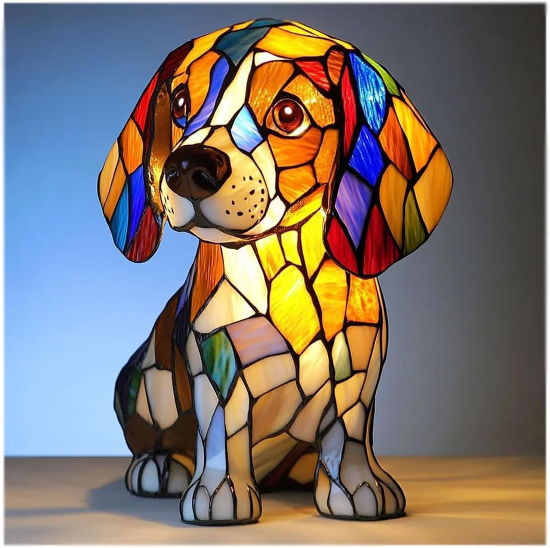 Coco | Lampe magique pour chiens