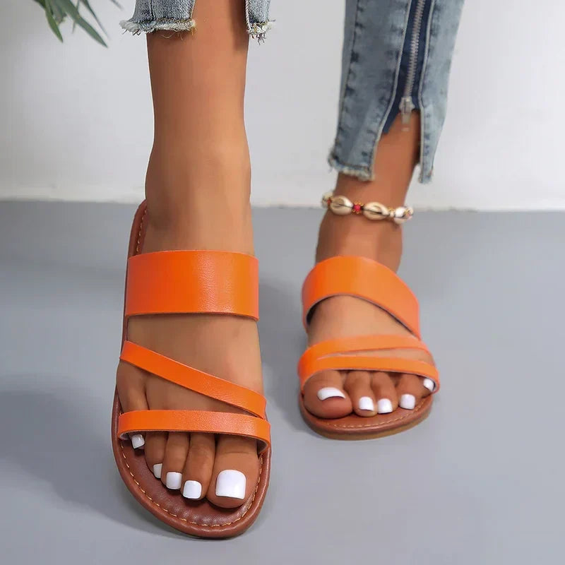 Orange / 41