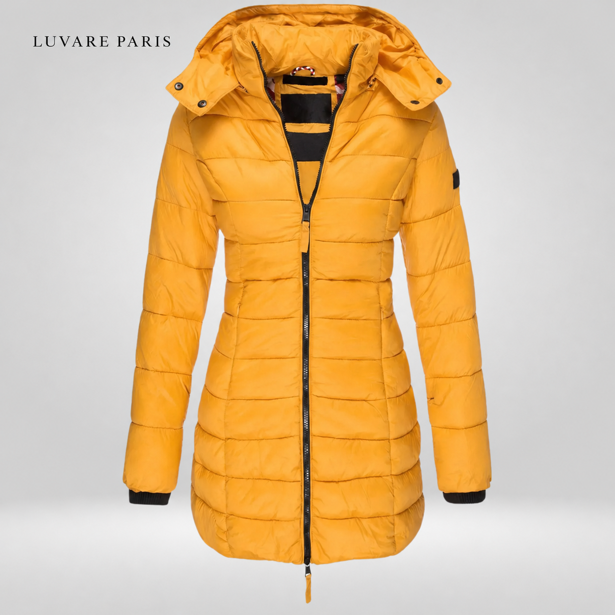 Jaune / 3XL